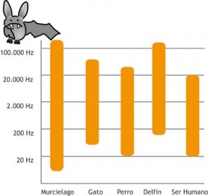 Frecuencias sonoras de Algunos tipos de animales
